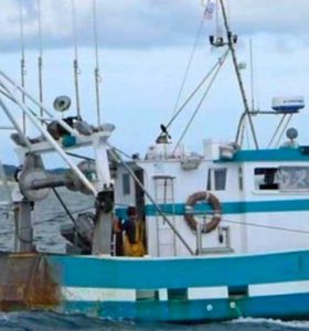 En mer sur l’Enzo