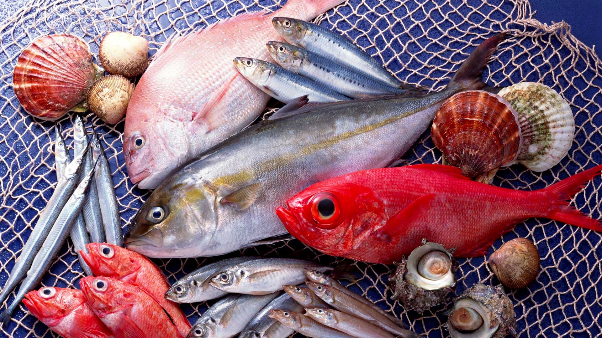 Recettes du pêcheur