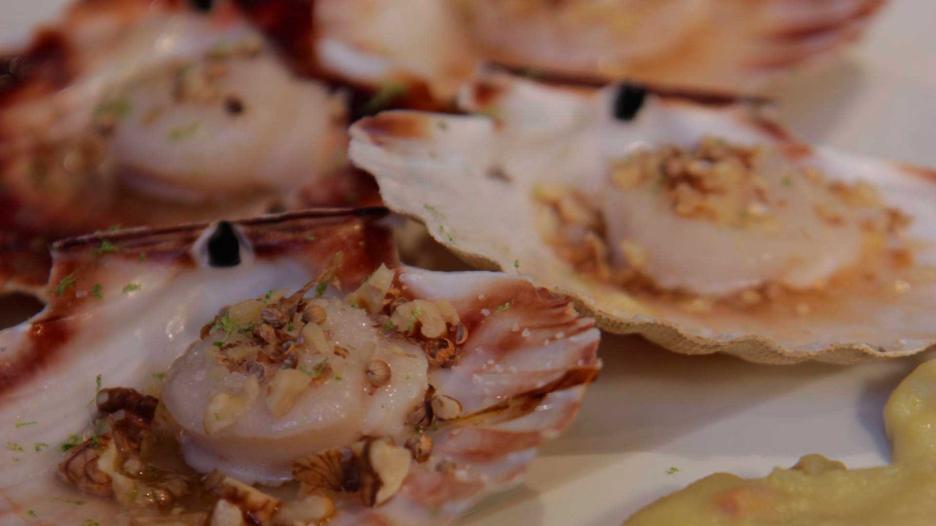 Saint-Jacques en coquille